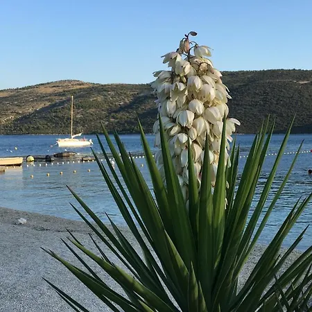 Apartman Ludilo Mit 4 In - Marina Bei Trogir Split