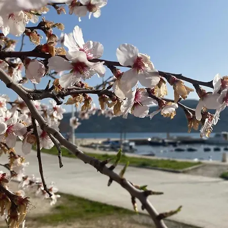 Ludilo Mit 4 In - Marina Bei Trogir Split Apartman