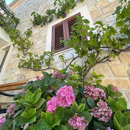 Apartman Ludilo Mit 4 In - Marina Bei Trogir Split Poljica